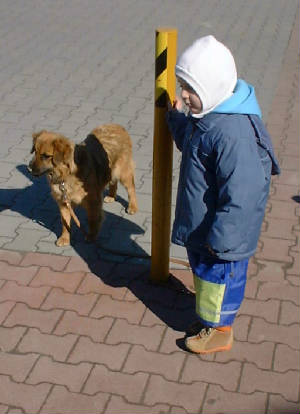 130305005.jpg