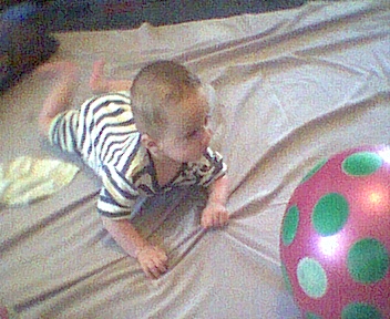 200602005.jpg