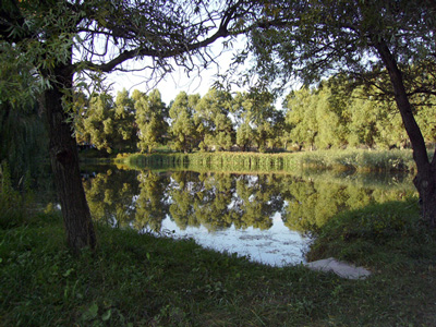 201007005.jpg