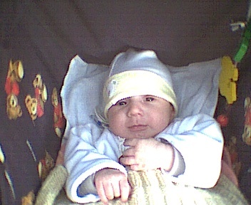290302003.jpg