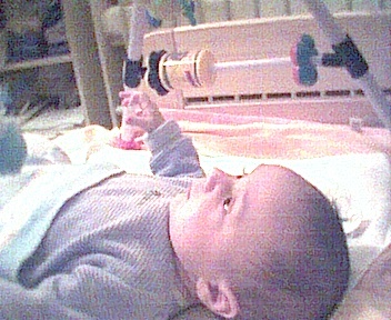 290302006.jpg