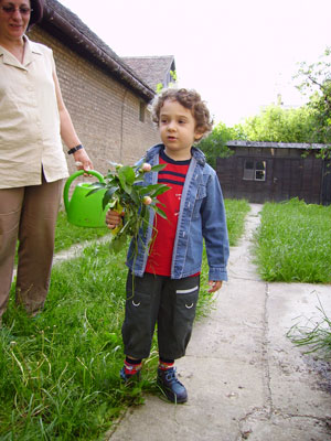 290505001.jpg
