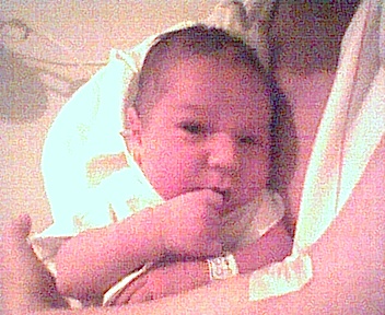 pict0005.jpg