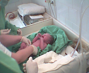 pict0029.jpg