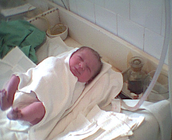 pict0032.jpg